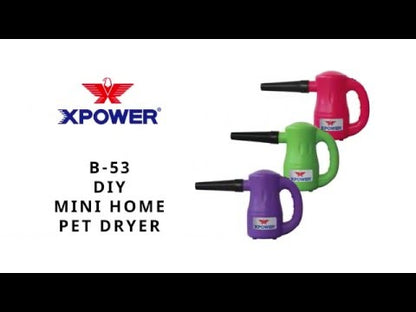 XPOWER B-53 Airrow Pro Multipurpose Pet Dryer - Green
