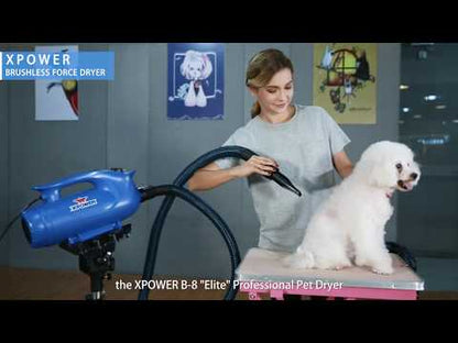 XPOWER B-8 Elite Pro Force Pet Dryer (4 HP)