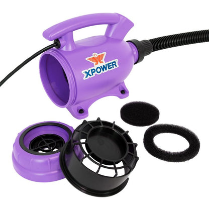 XPOWER B-55 Home Pet Dryer - Purple