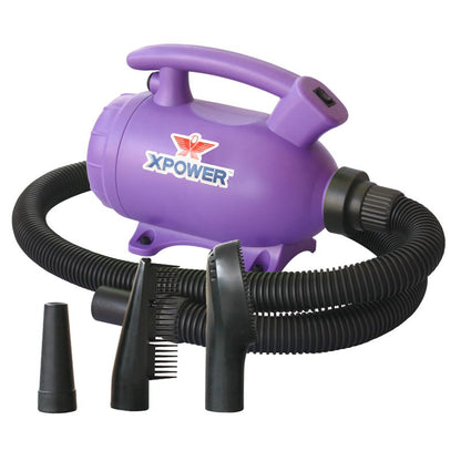 XPOWER B-55 Home Pet Dryer - Purple