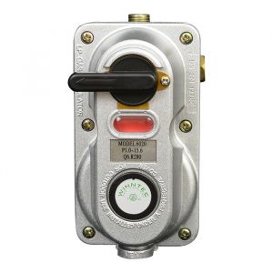 Auto-Changeover Two Stage Propane Regulator - Mr. Heater 